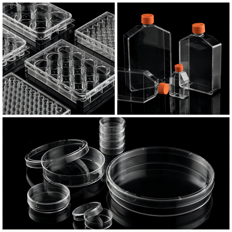 Cell Culture