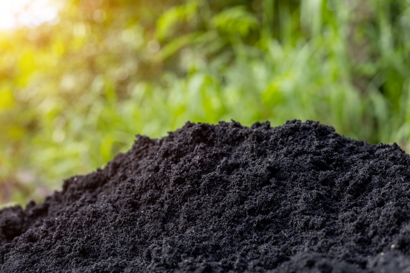 Organic Fertilizer