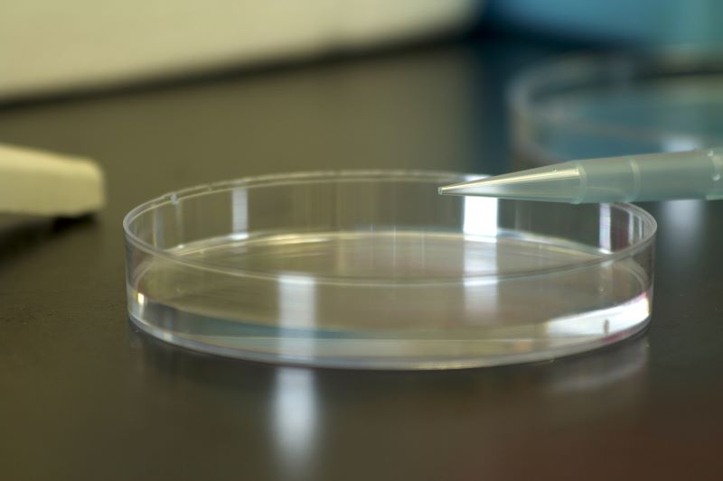 Laboratory cell separation experiments-1
